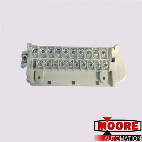 TSXBLY01