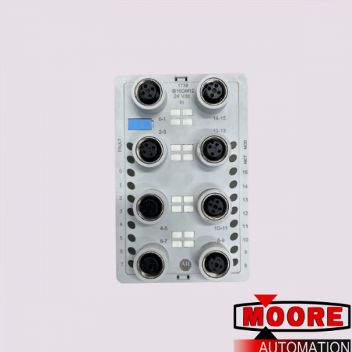1738-IB16DM12